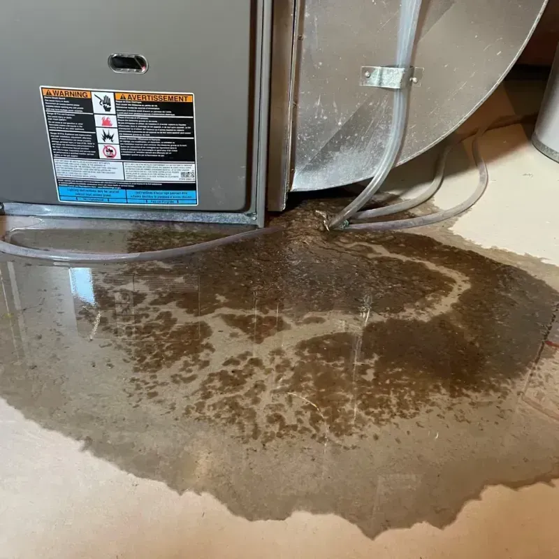 Appliance Leak Cleanup in Putnam County, TN